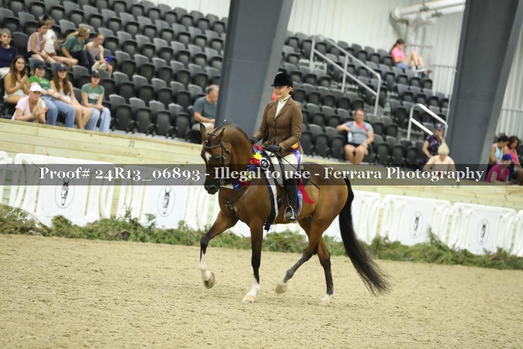 Proof Number 24R13_06893