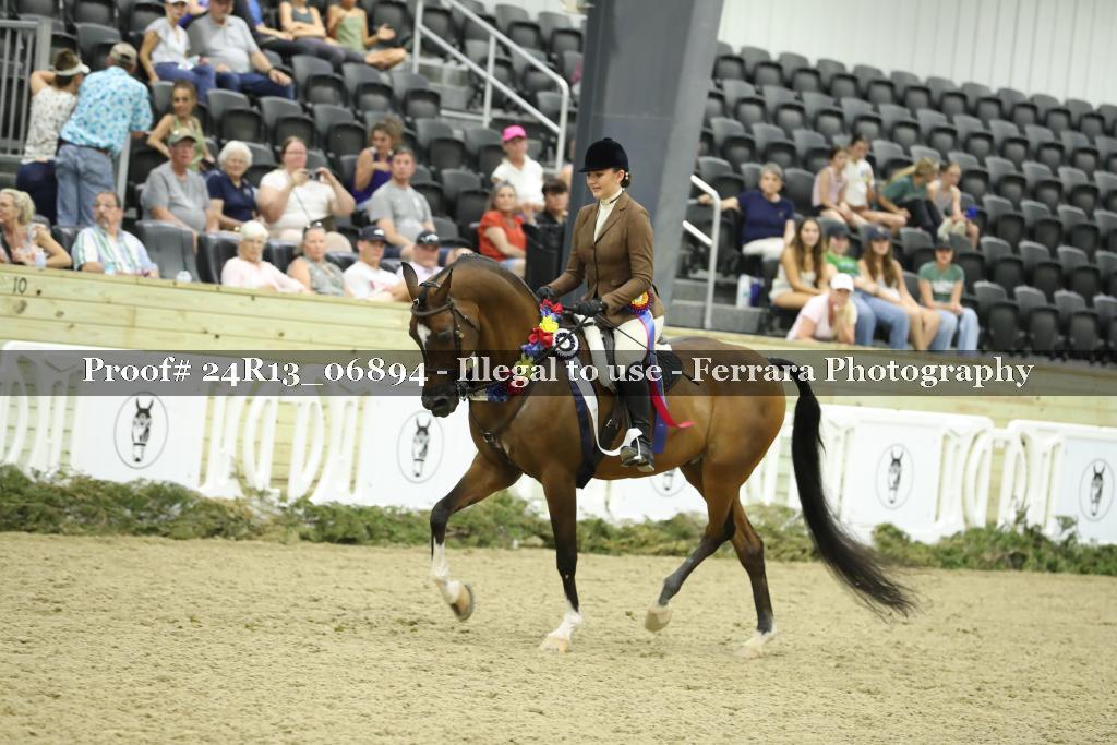 Proof Number 24R13_06894
