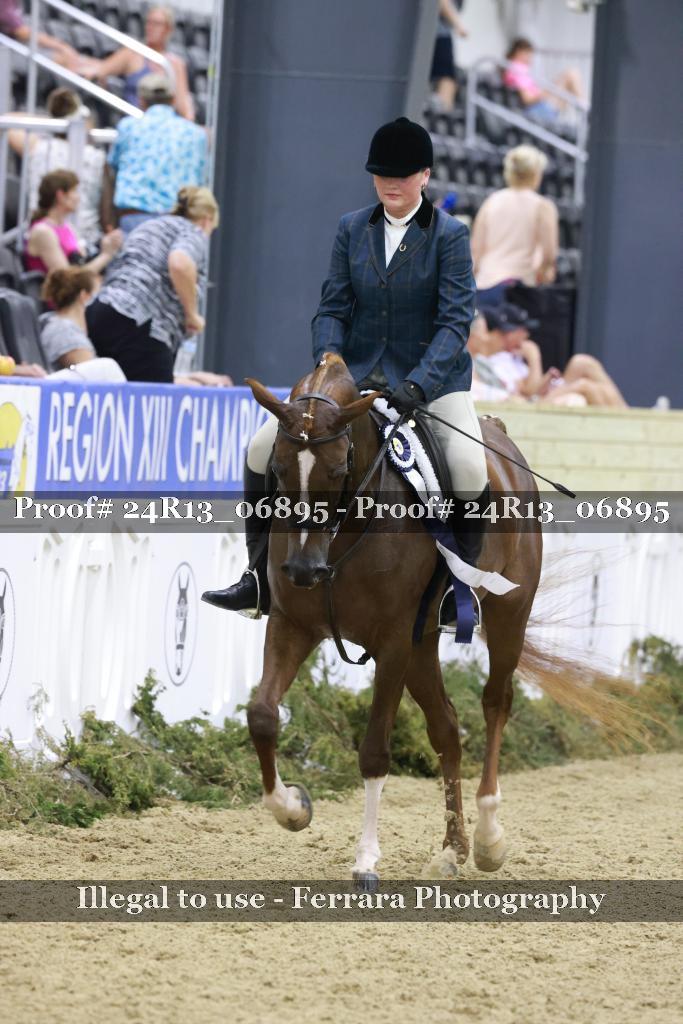 Proof Number 24R13_06895