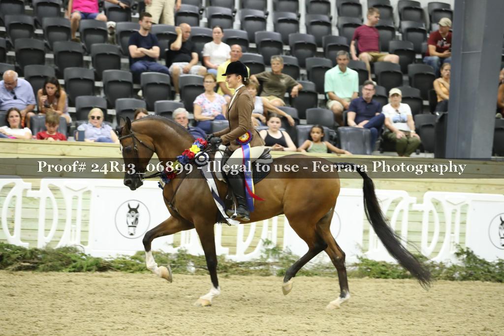 Proof Number 24R13_06899