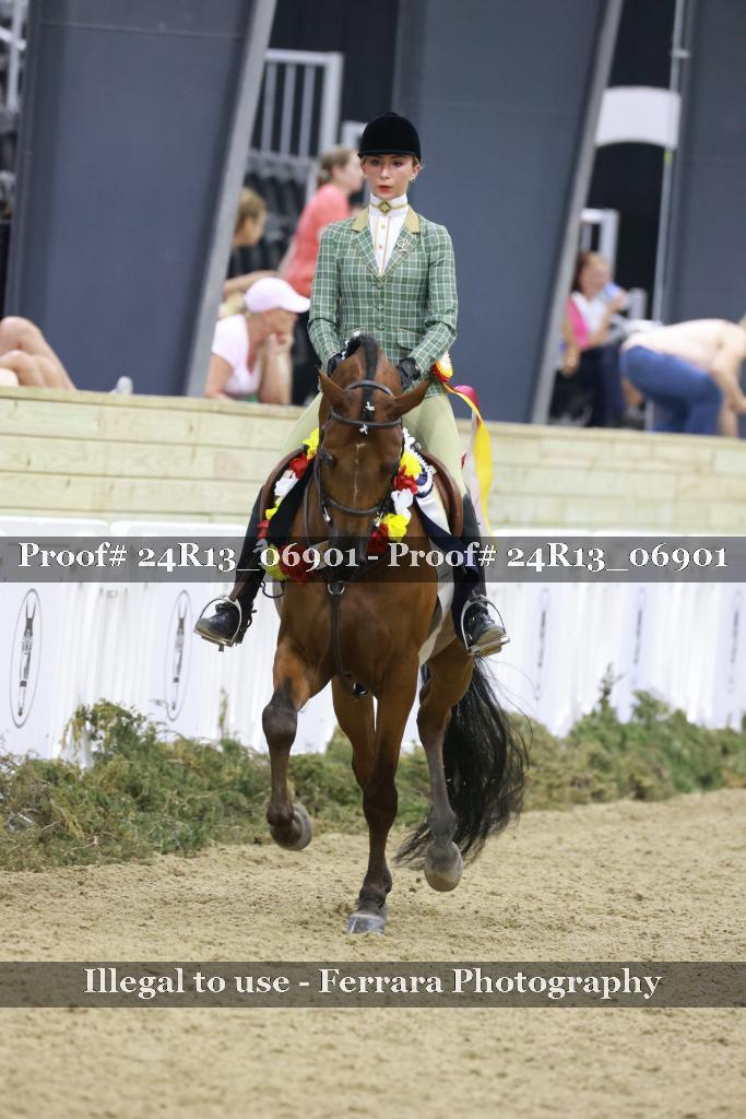 Proof Number 24R13_06901