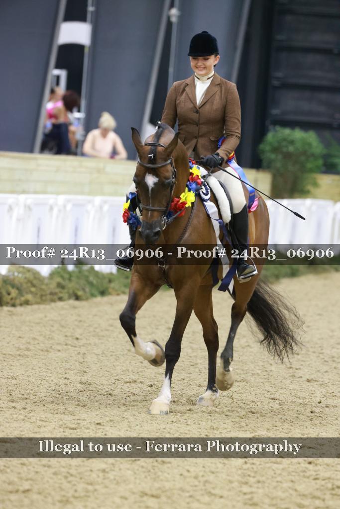 Proof Number 24R13_06906