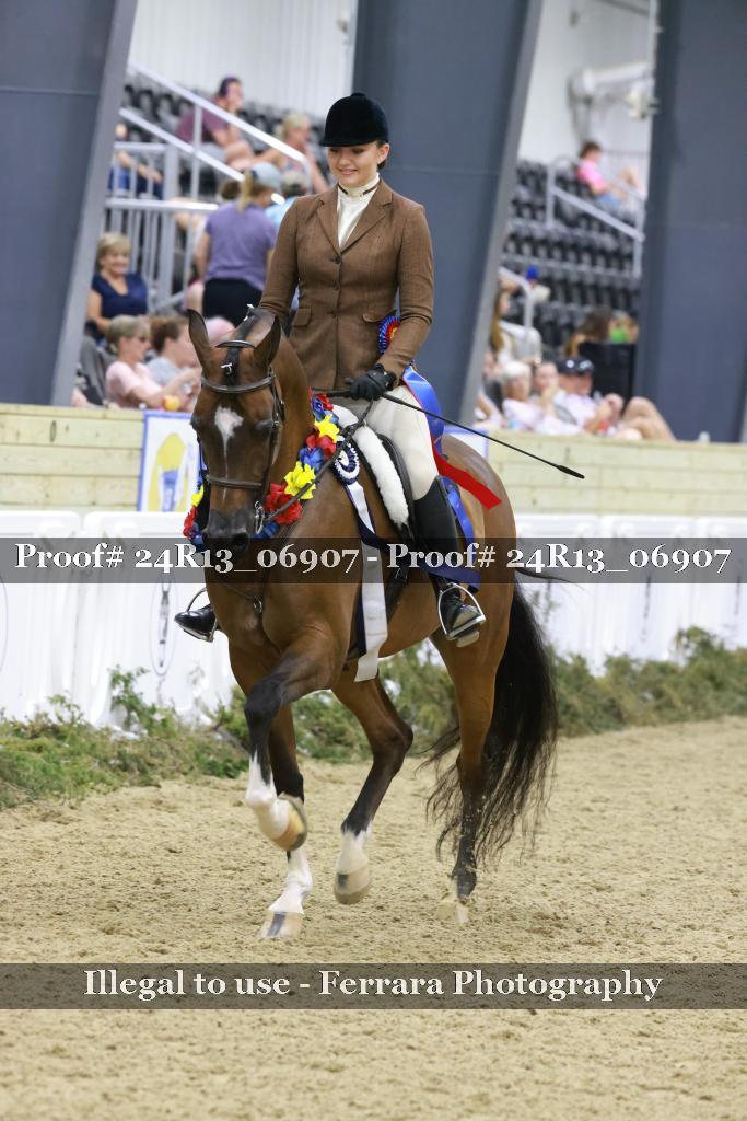 Proof Number 24R13_06907