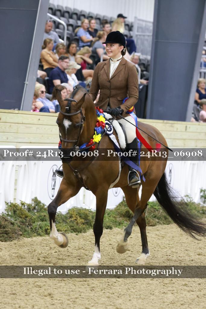 Proof Number 24R13_06908