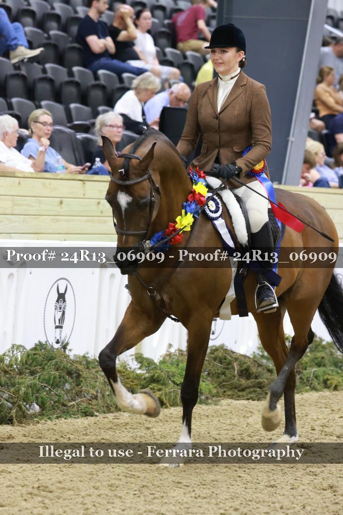 Proof Number 24R13_06909