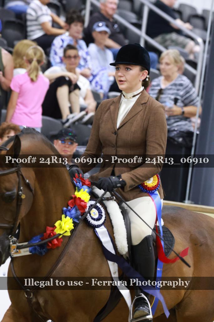 Proof Number 24R13_06910