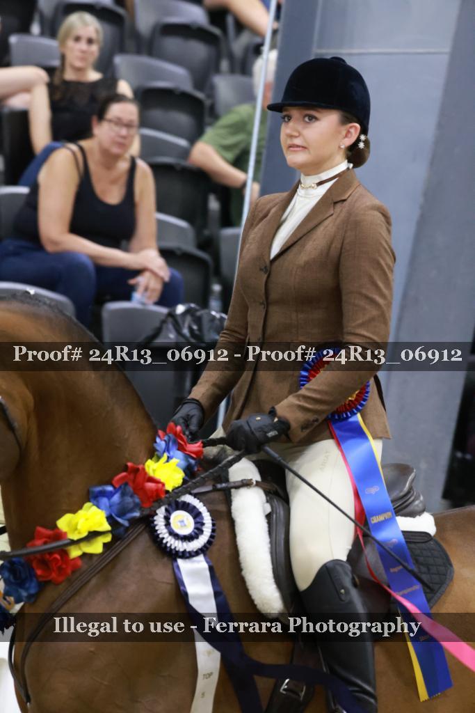 Proof Number 24R13_06912