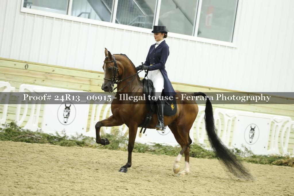 Proof Number 24R13_06915