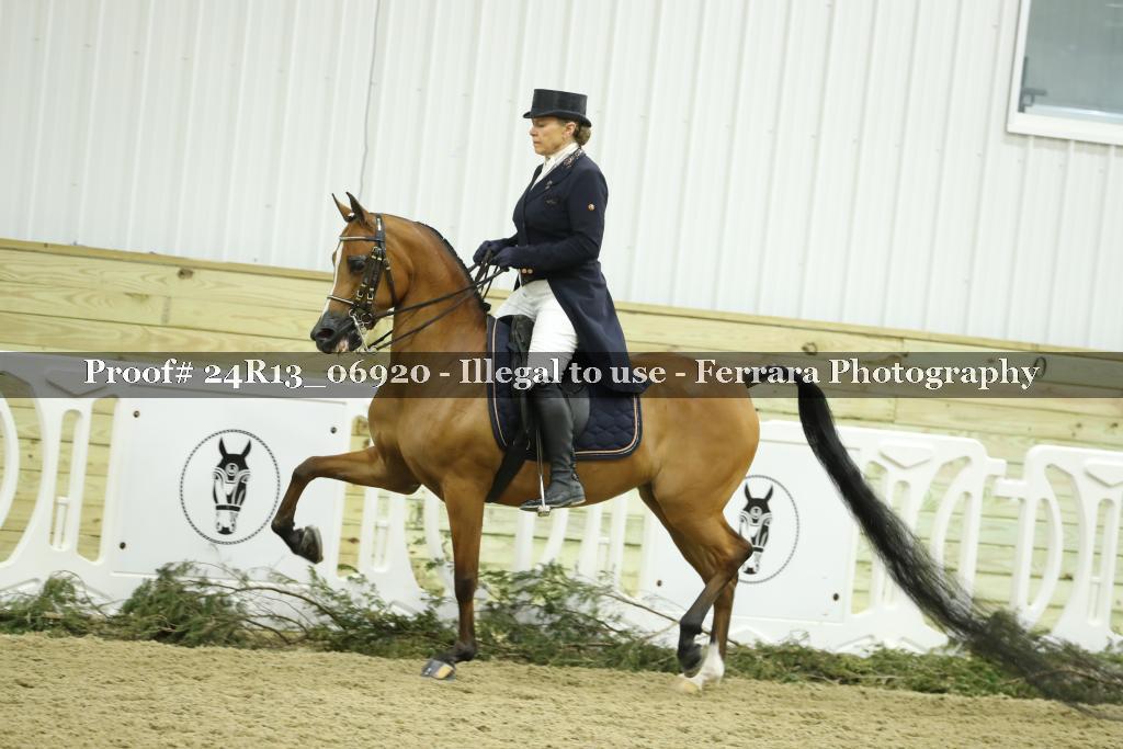 Proof Number 24R13_06920