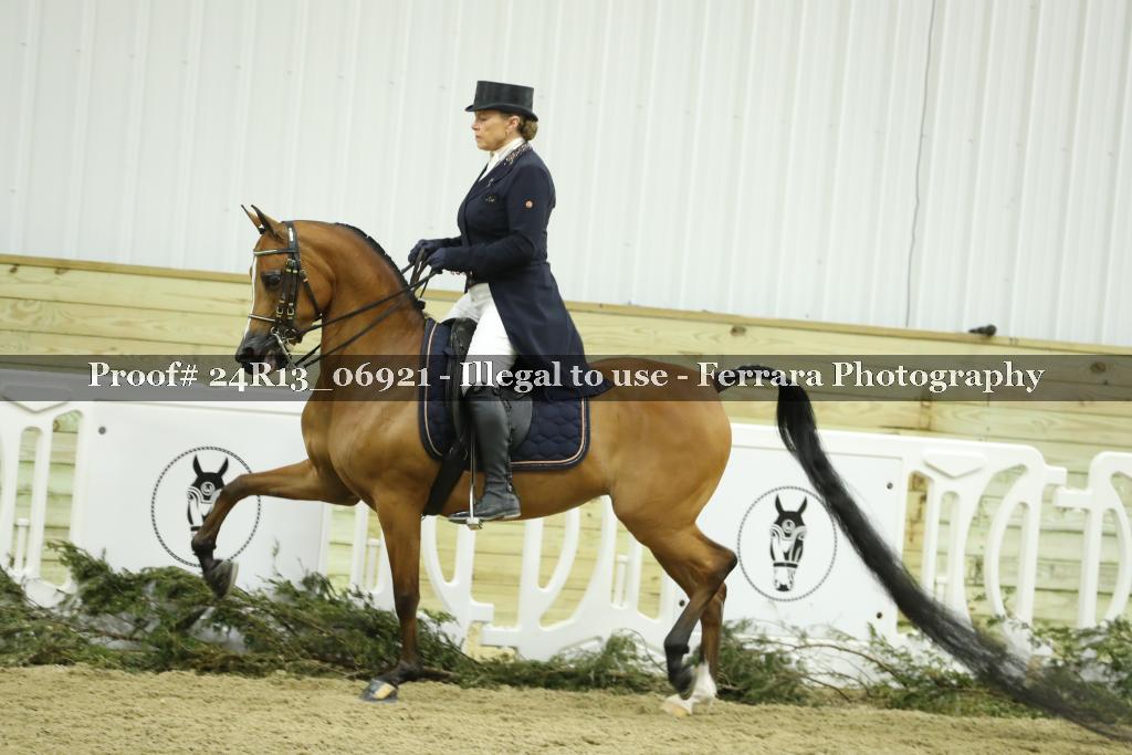Proof Number 24R13_06921