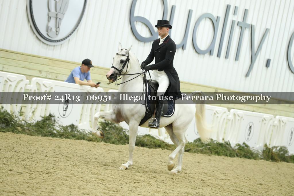 Proof Number 24R13_06951