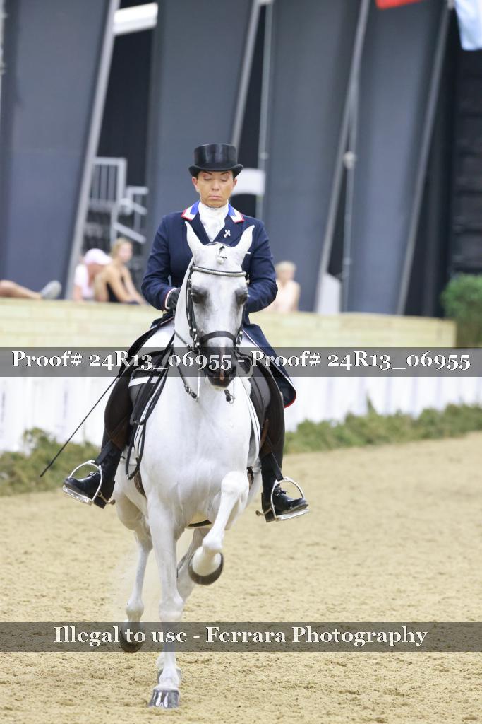 Proof Number 24R13_06955