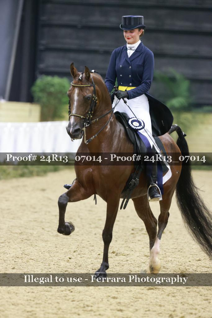 Proof Number 24R13_07014