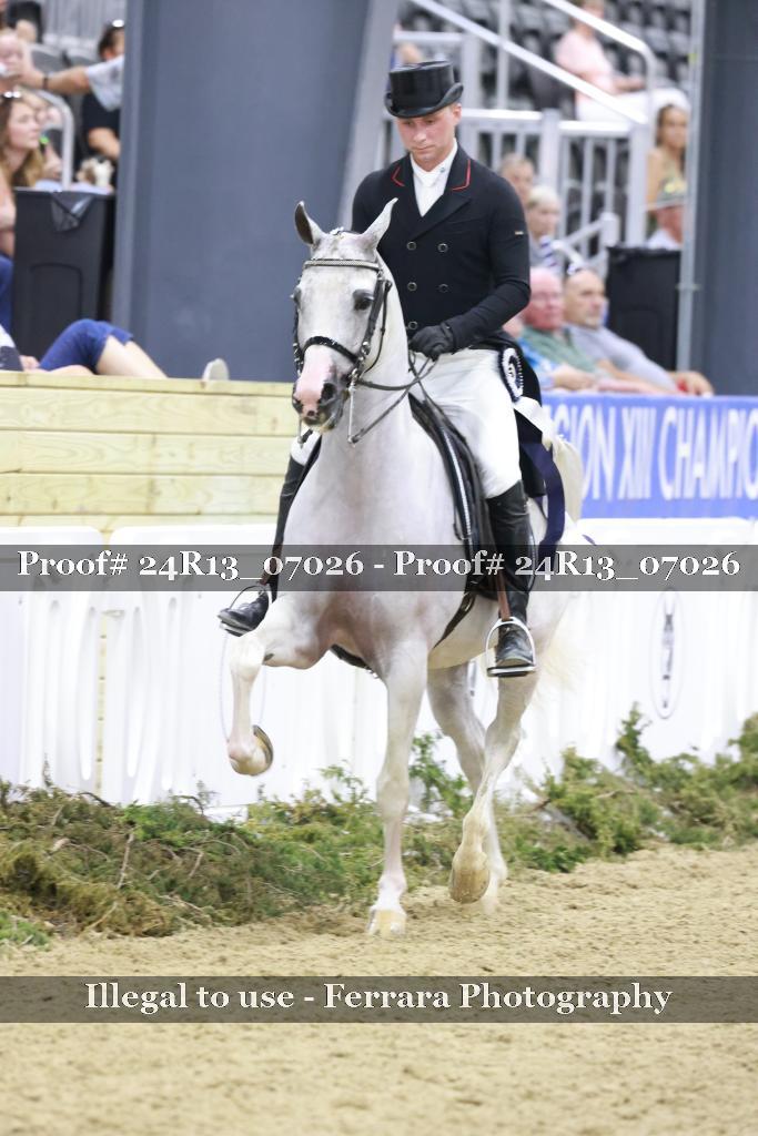 Proof Number 24R13_07026