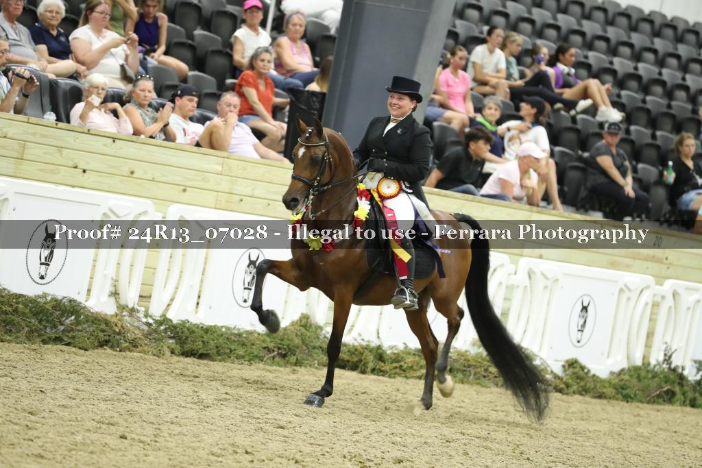 Proof Number 24R13_07028
