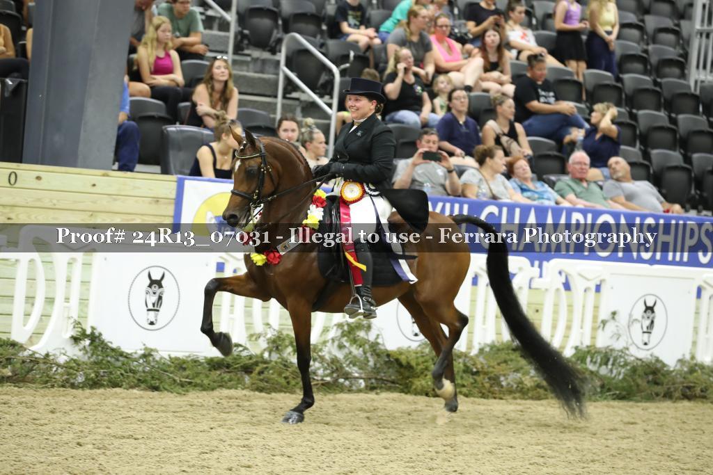Proof Number 24R13_07031