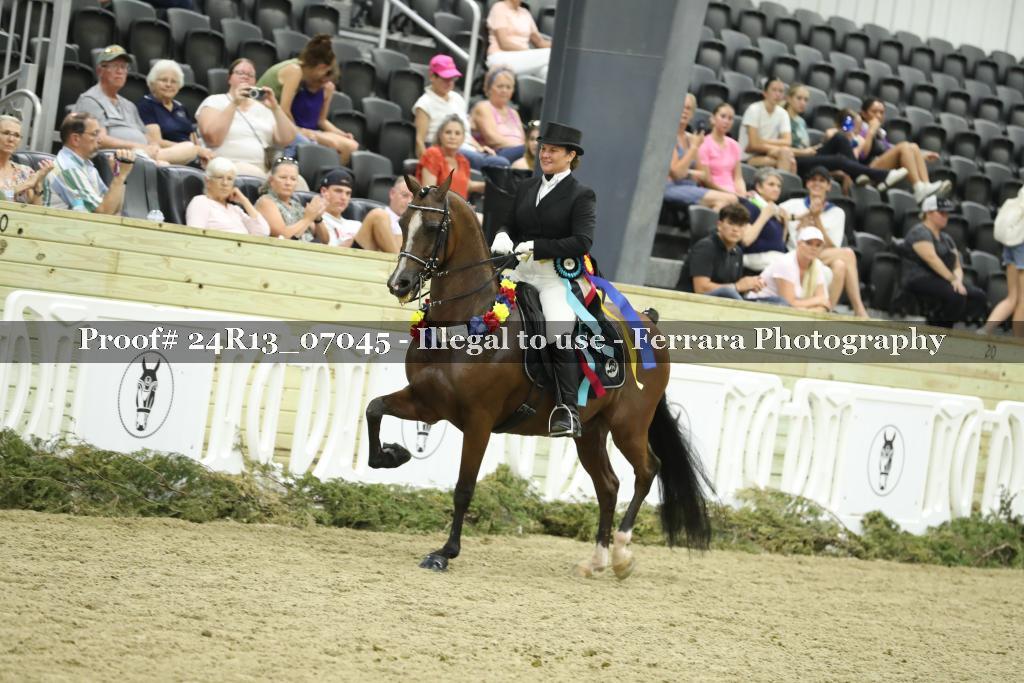 Proof Number 24R13_07045