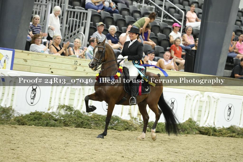 Proof Number 24R13_07046