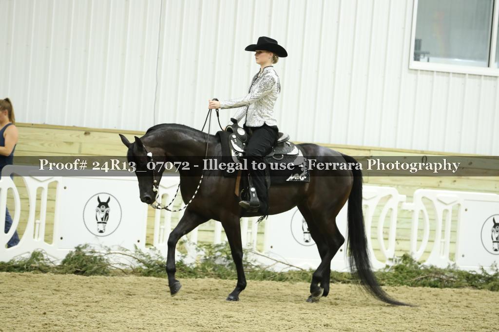 Proof Number 24R13_07072