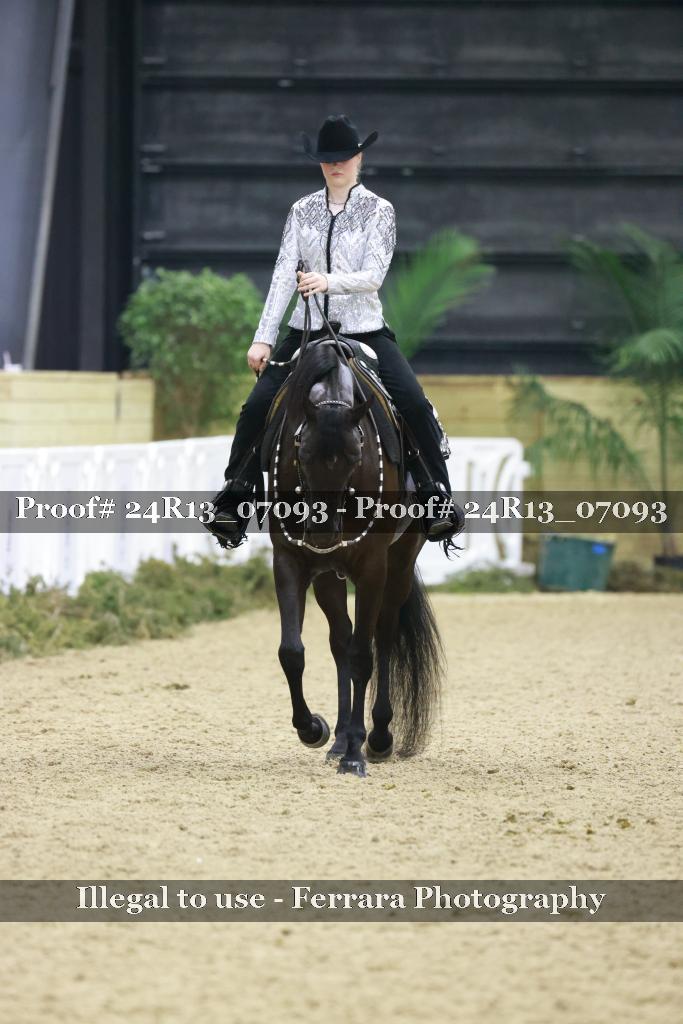 Proof Number 24R13_07093