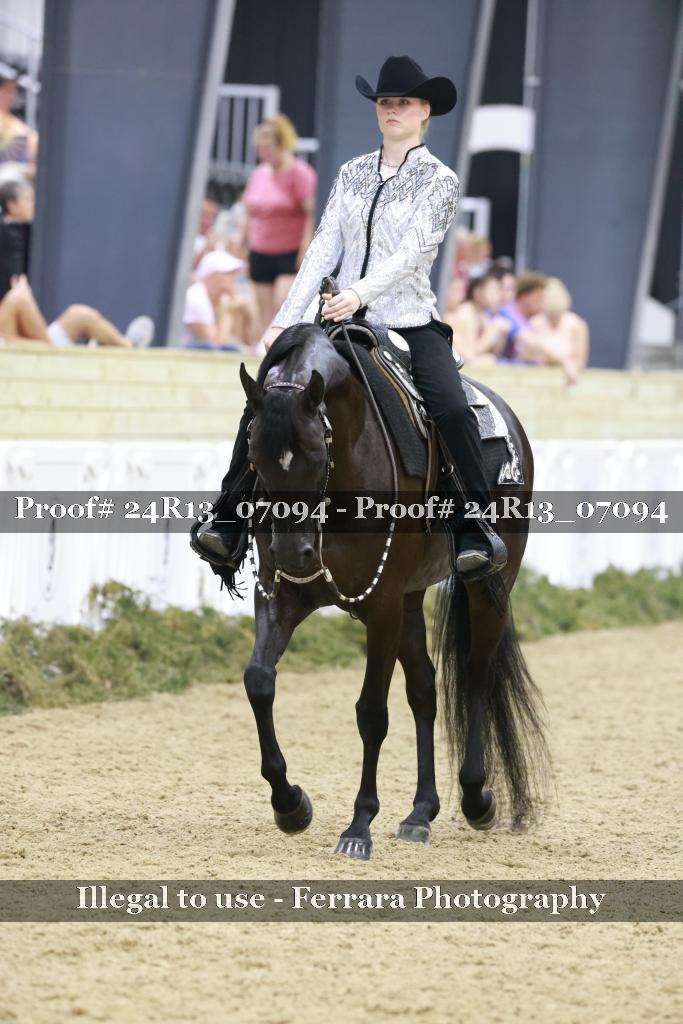 Proof Number 24R13_07094