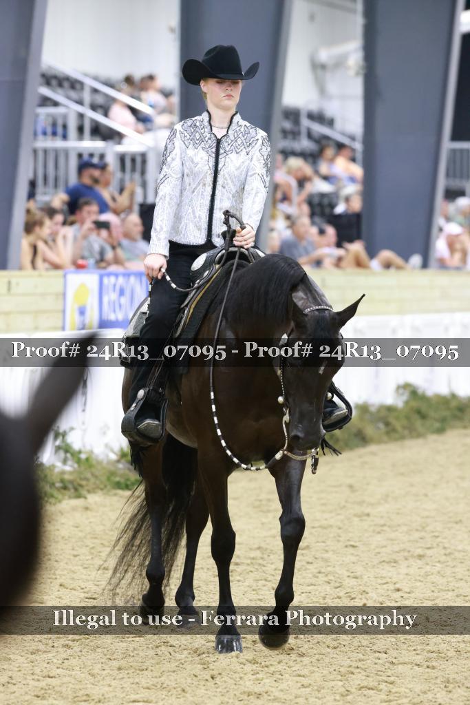 Proof Number 24R13_07095