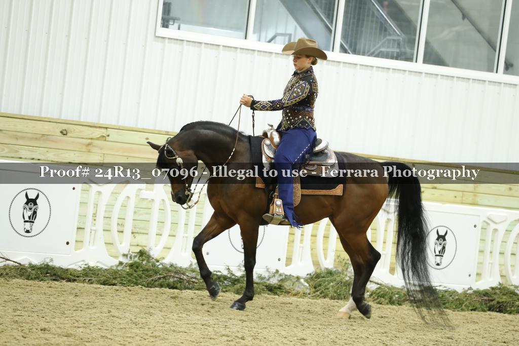 Proof Number 24R13_07096