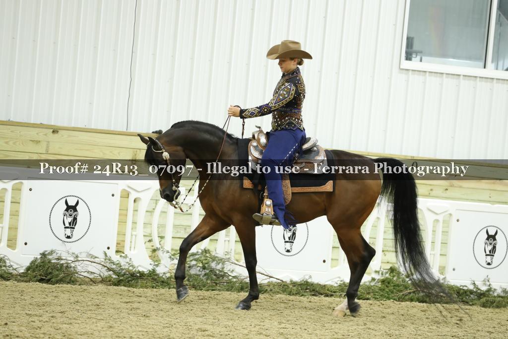 Proof Number 24R13_07097