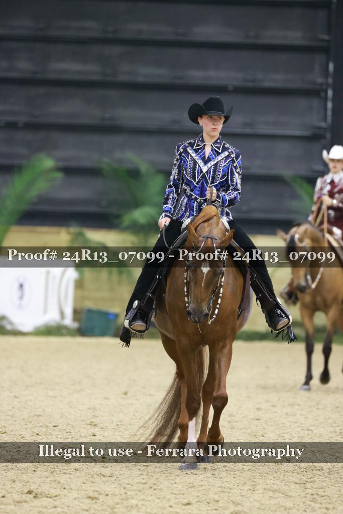 Proof Number 24R13_07099