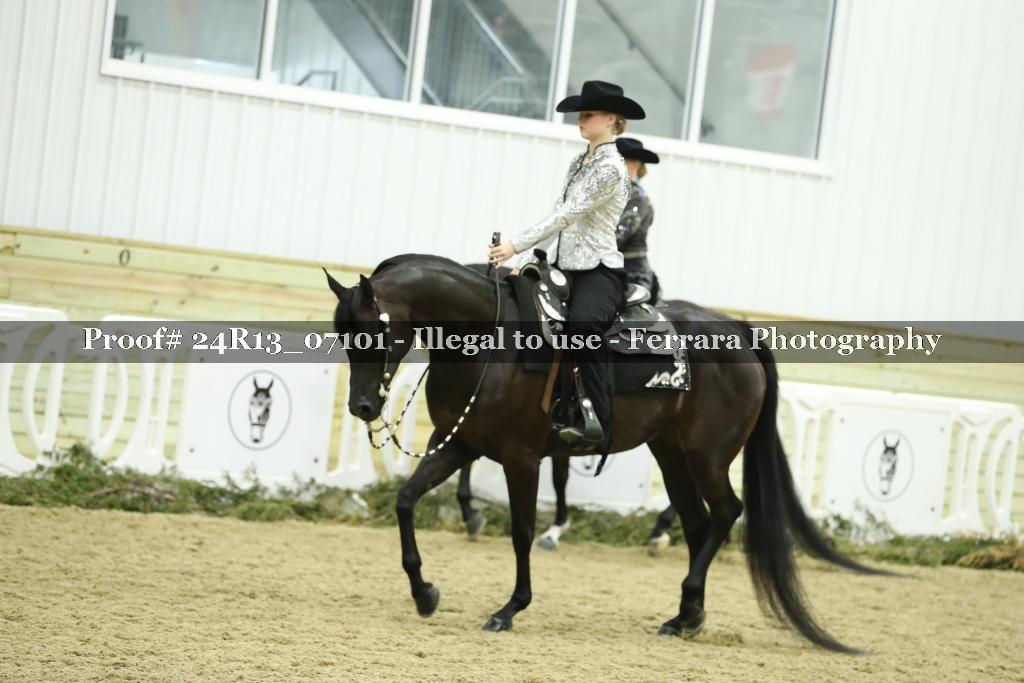 Proof Number 24R13_07101