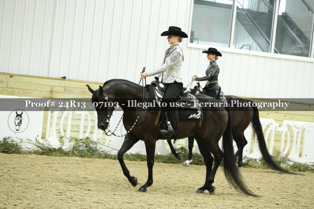 Proof Number 24R13_07103