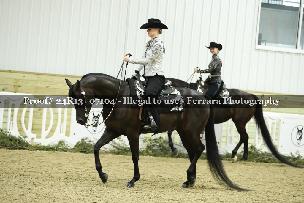 Proof Number 24R13_07104