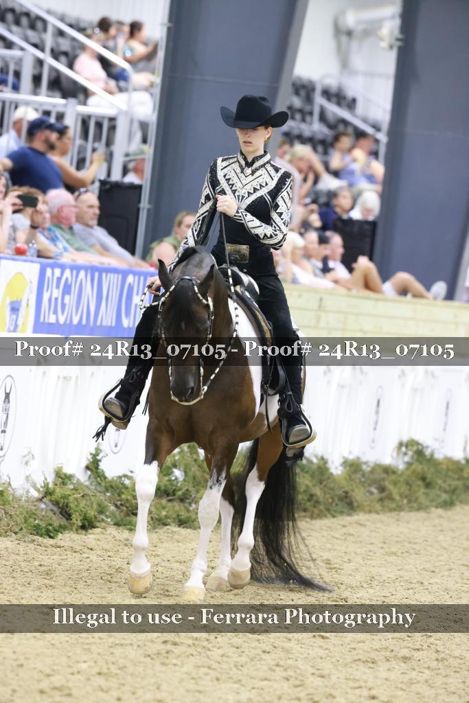 Proof Number 24R13_07105
