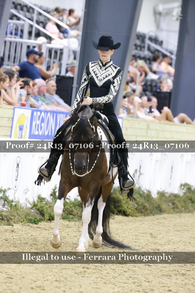 Proof Number 24R13_07106