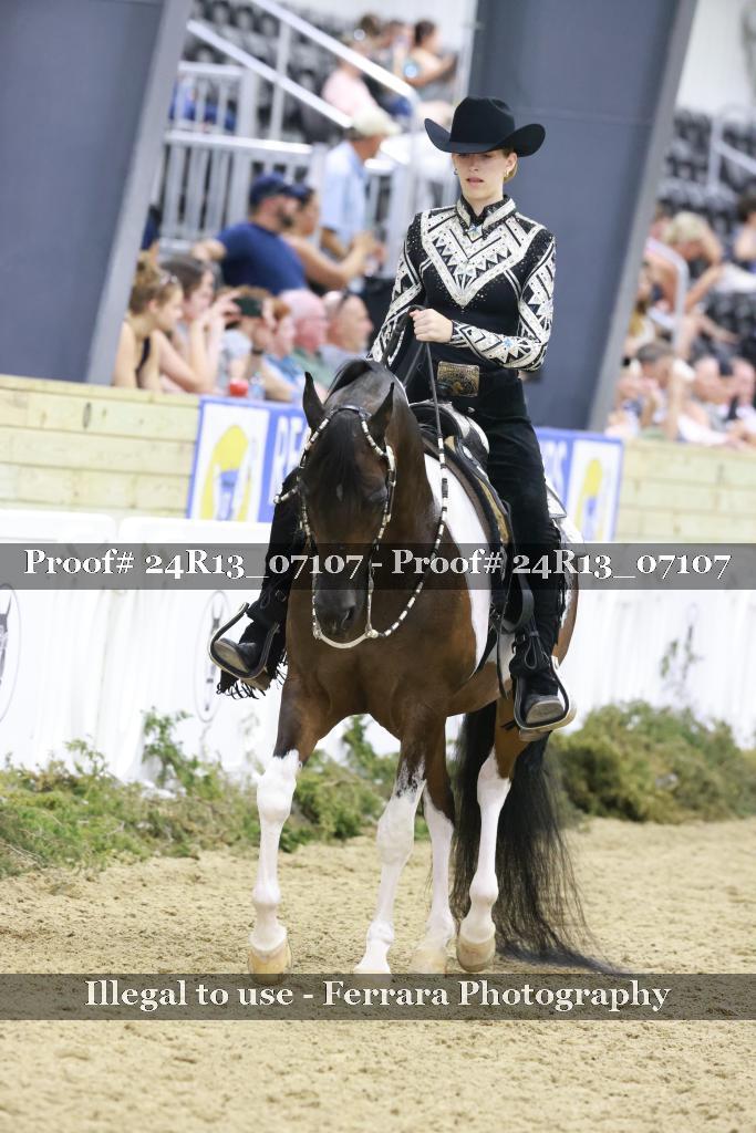 Proof Number 24R13_07107