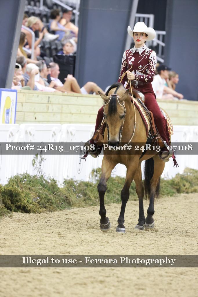 Proof Number 24R13_07108