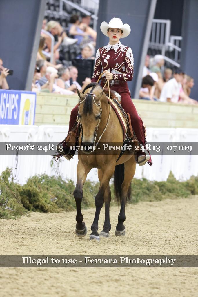 Proof Number 24R13_07109