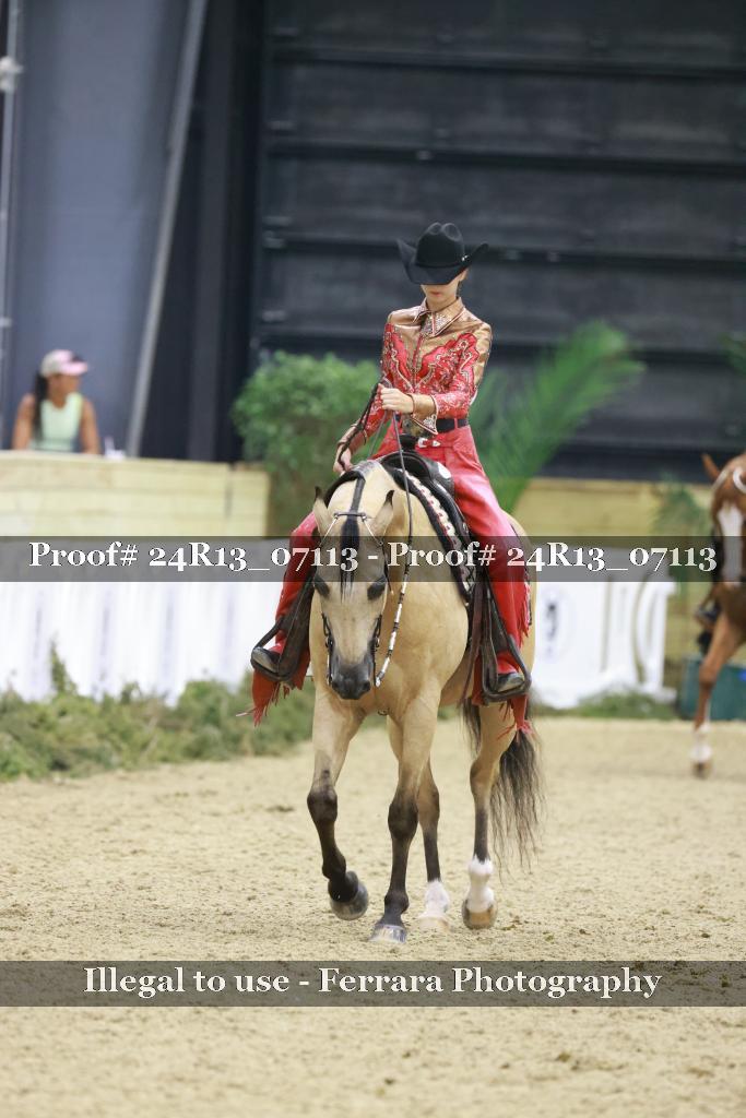 Proof Number 24R13_07113
