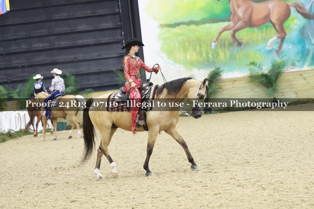 Proof Number 24R13_07116