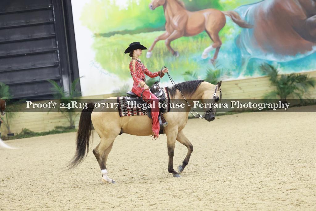 Proof Number 24R13_07117