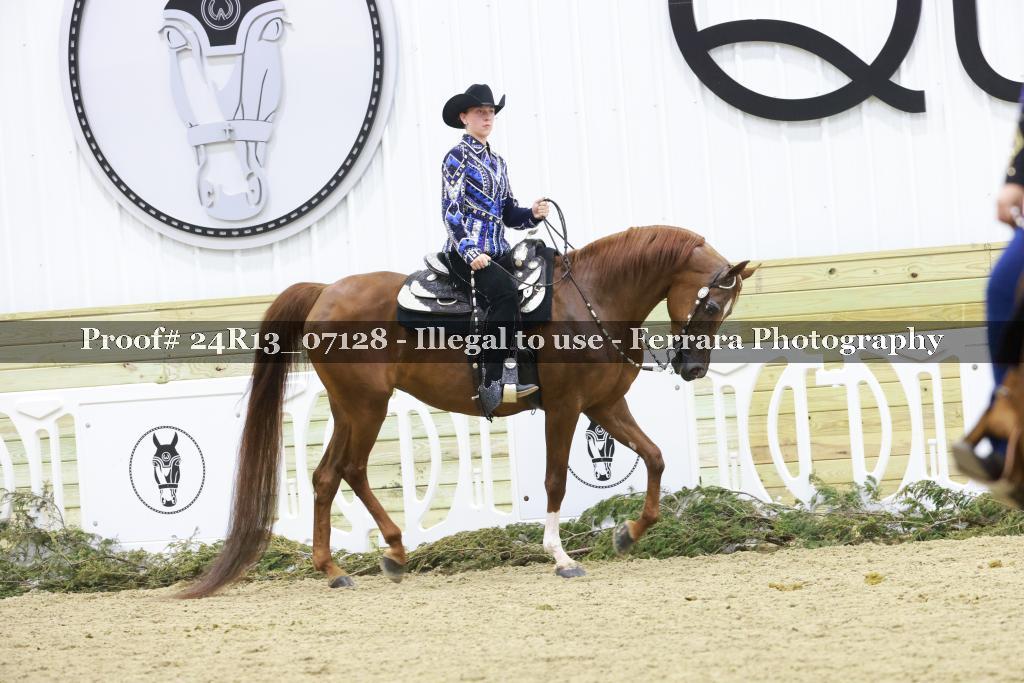 Proof Number 24R13_07128