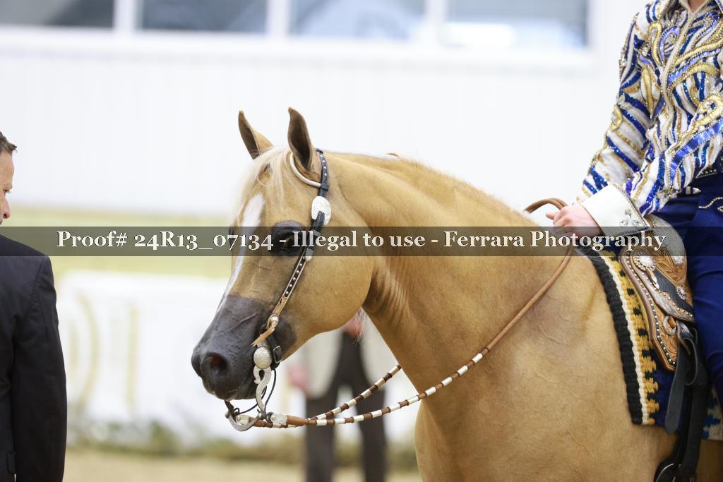 Proof Number 24R13_07134