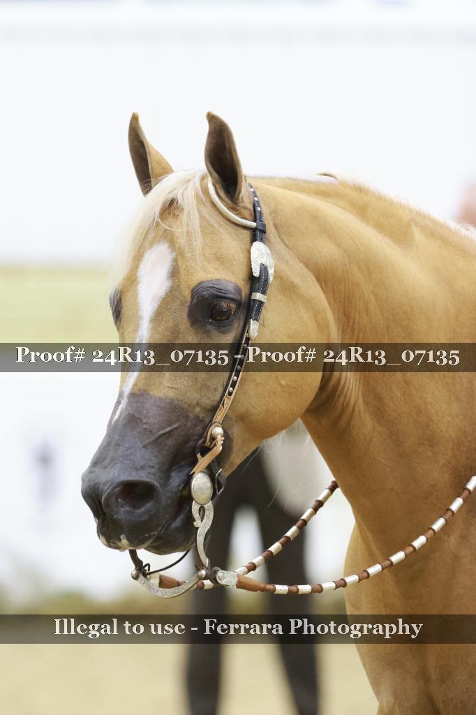 Proof Number 24R13_07135