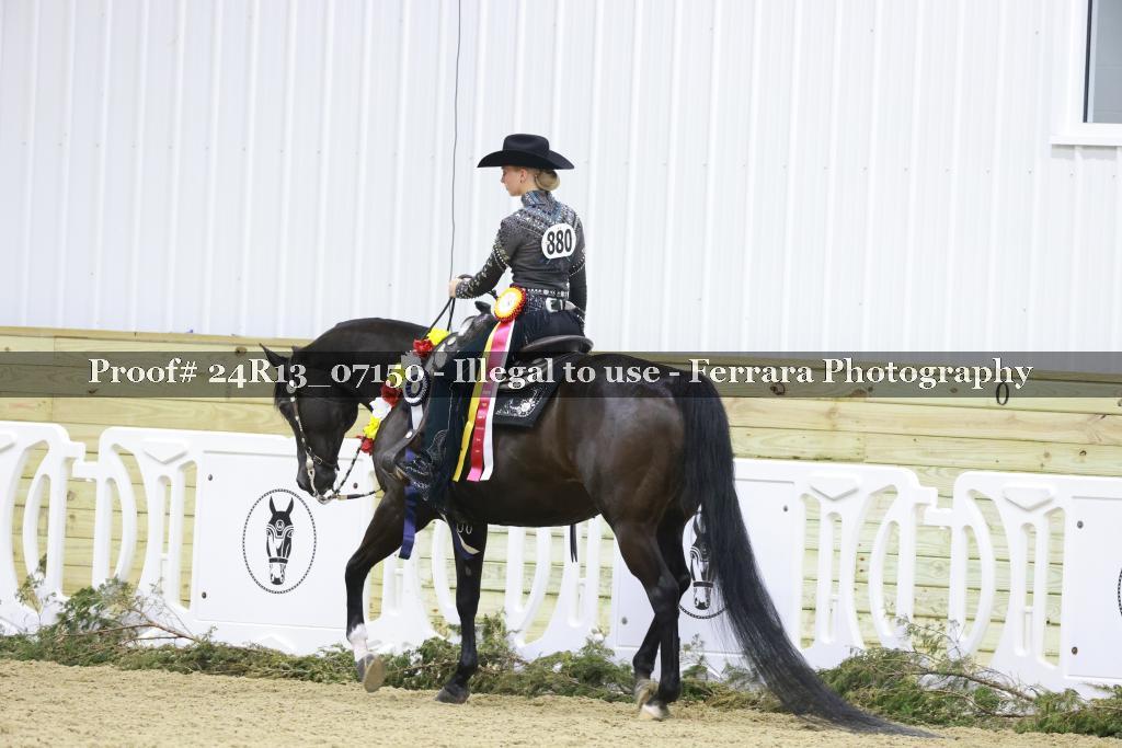 Proof Number 24R13_07150