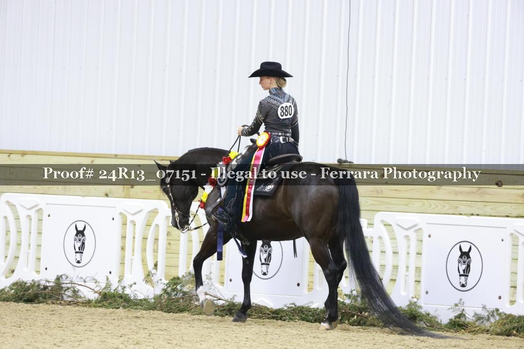 Proof Number 24R13_07151