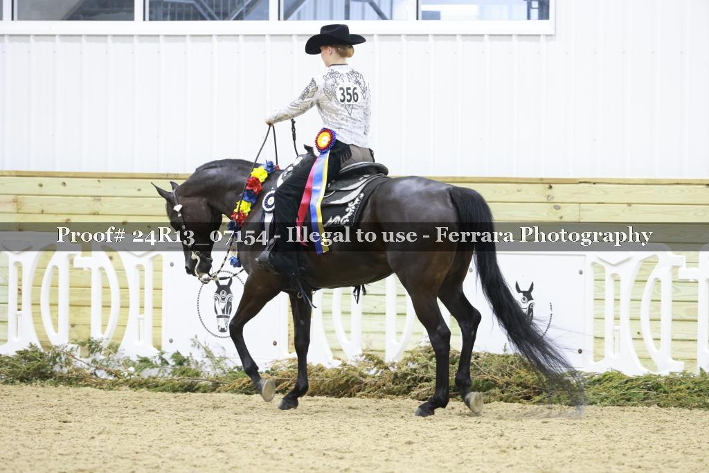 Proof Number 24R13_07154