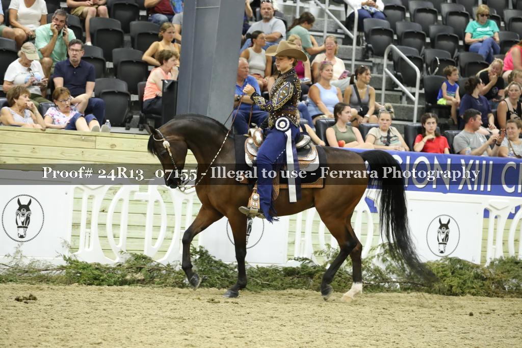 Proof Number 24R13_07155