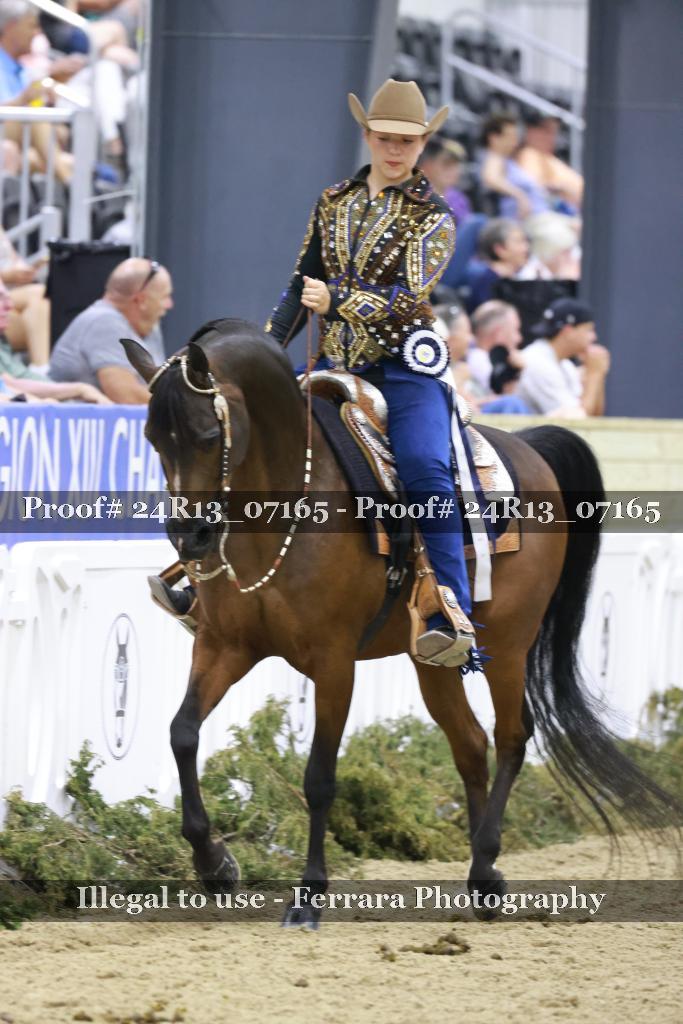 Proof Number 24R13_07165