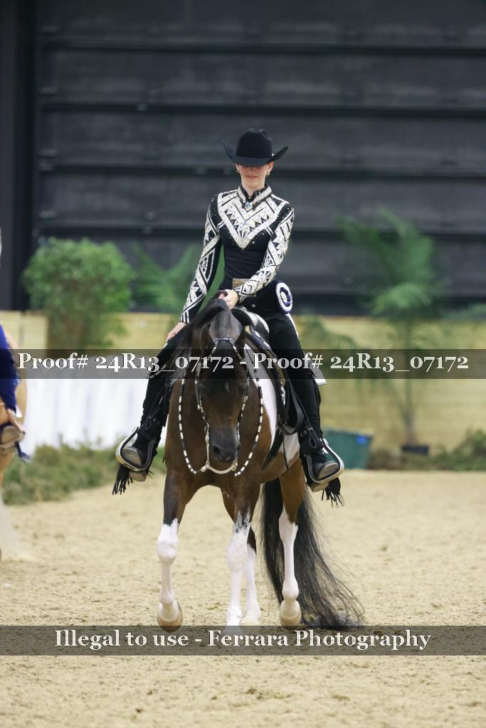 Proof Number 24R13_07172