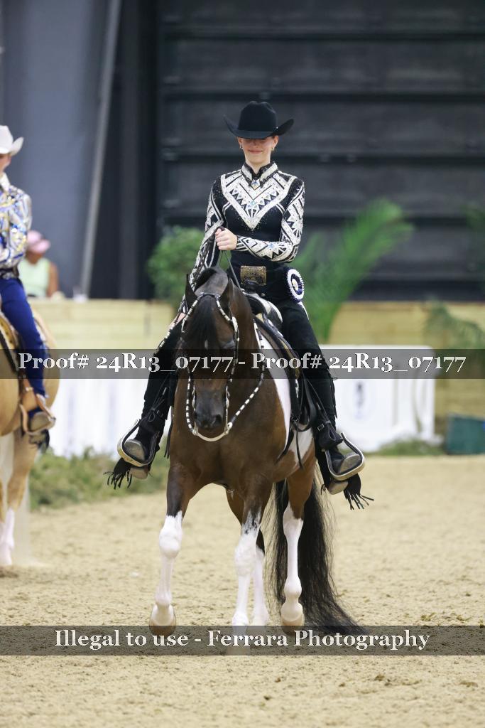 Proof Number 24R13_07177